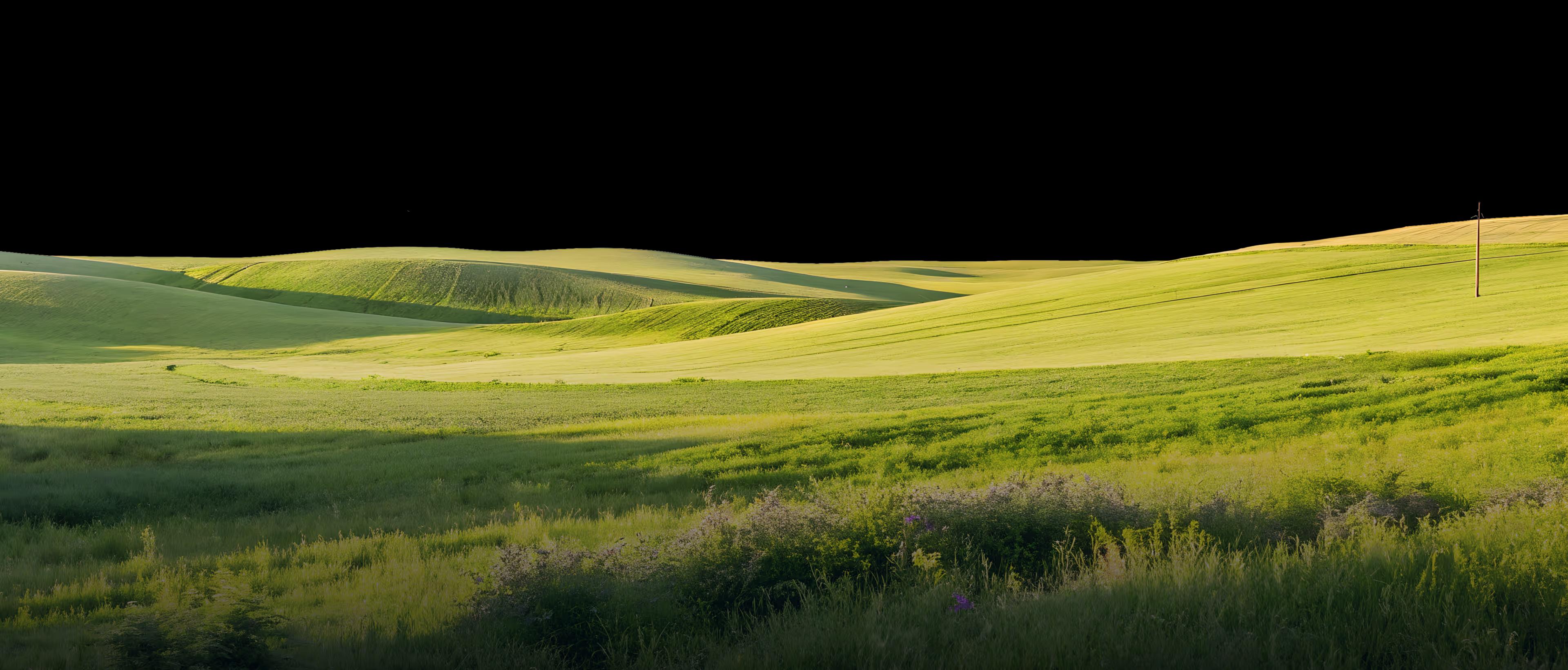 green-field-banner